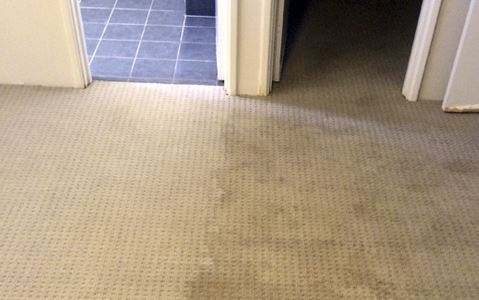 Before and After Carpet Clean
