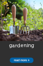 Gardening Cleaning