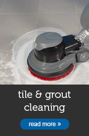 Tile and Grout Cleaning