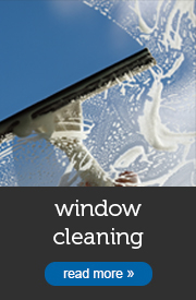 Window Cleaning Services